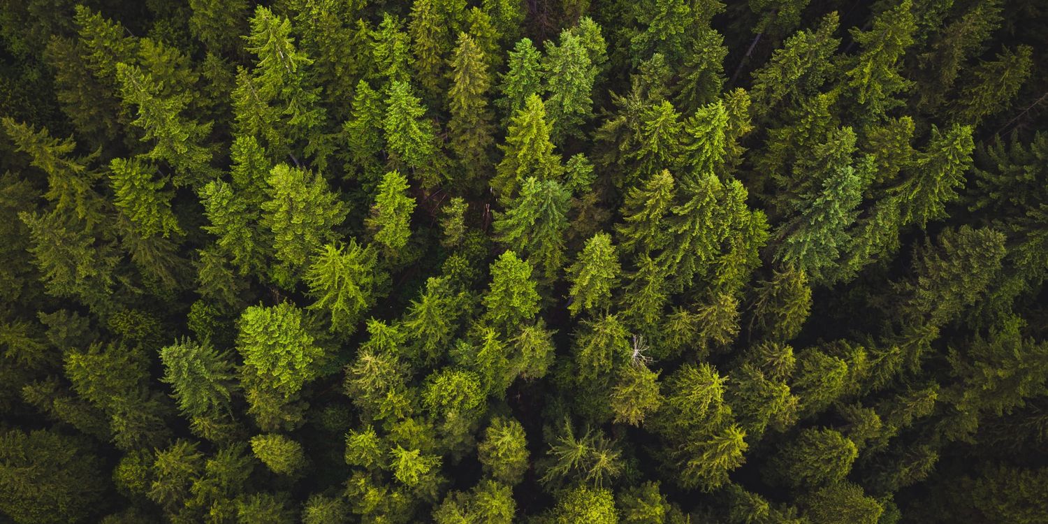 Wood heating in Canada